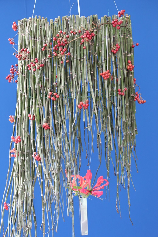 茶室插花的 13 個(gè)小竅門(mén)